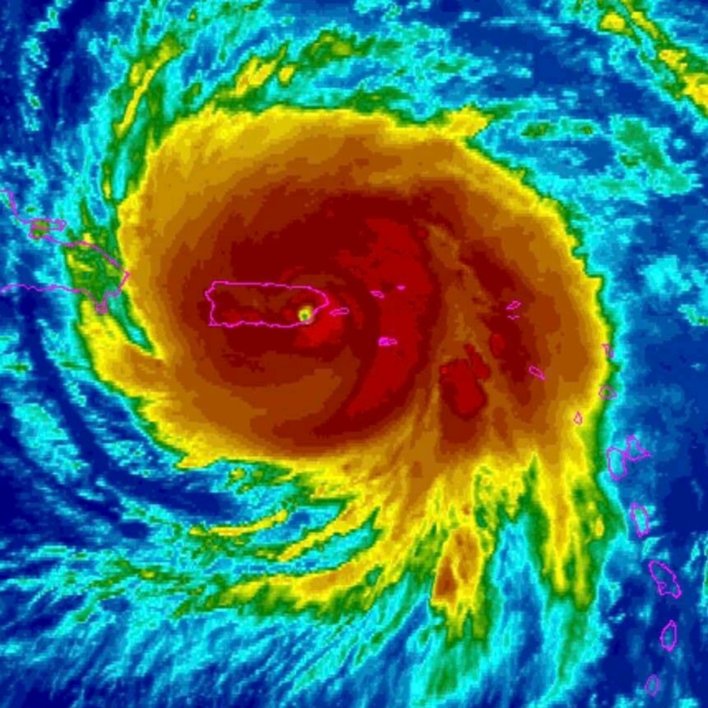 Meet your Posher, Wilma